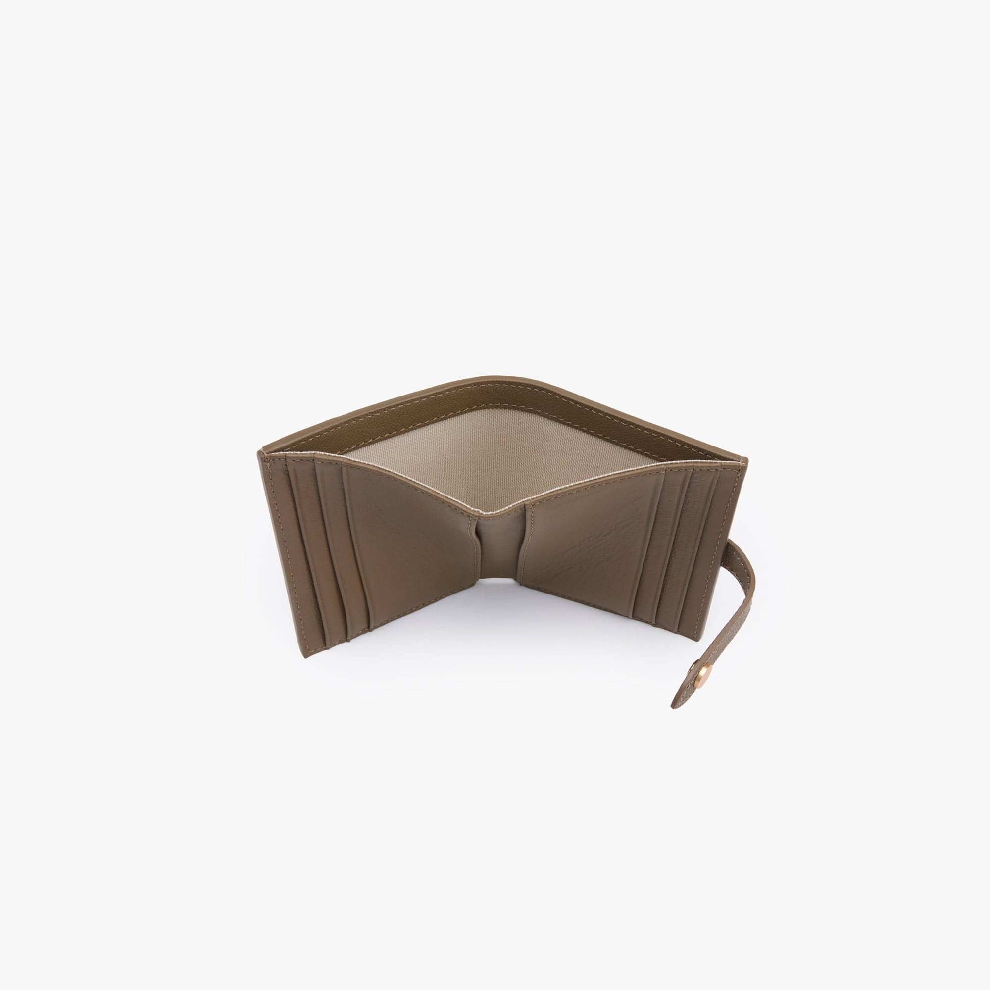 #color_beaver brown