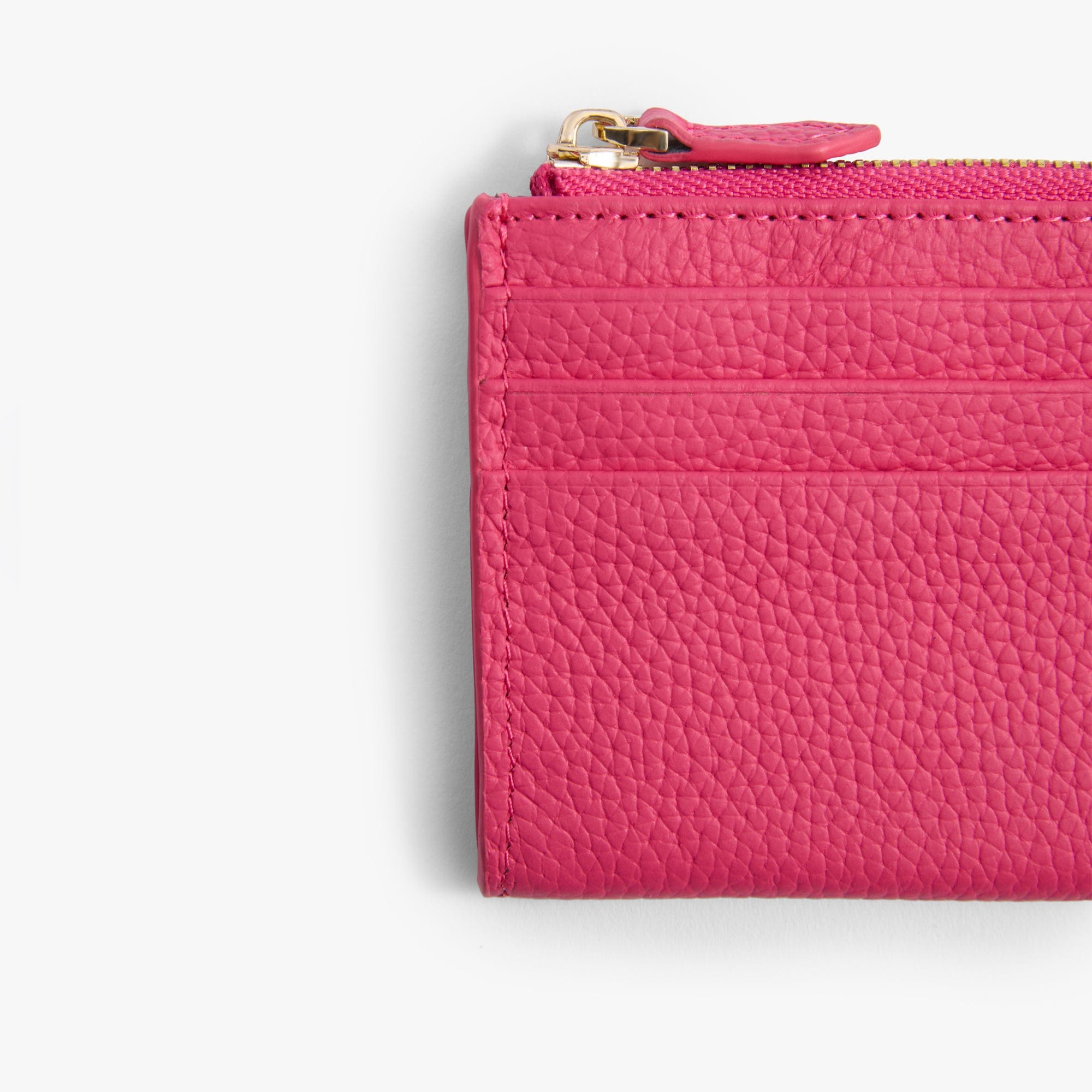 Mini Zipper Card Holder