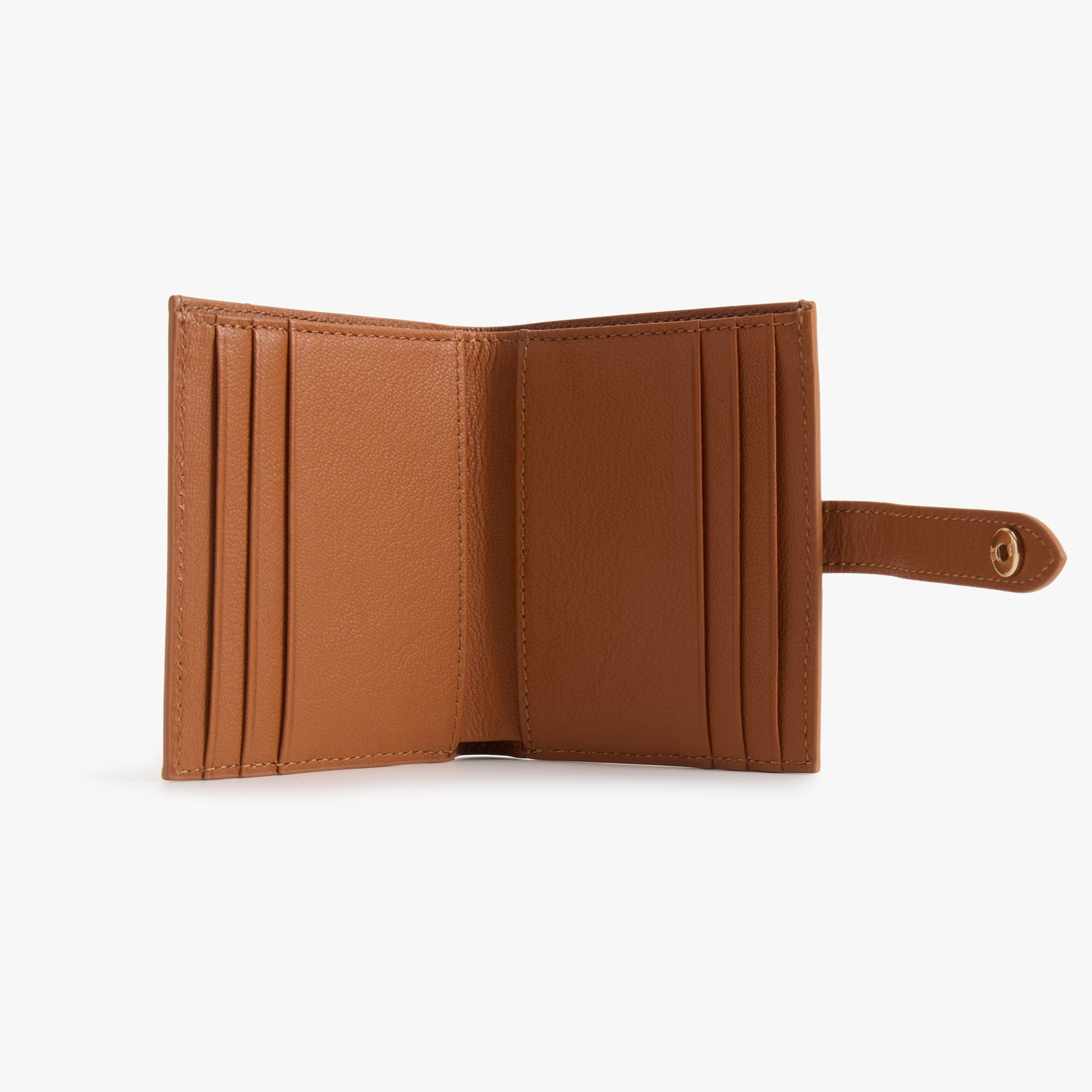 #color_brownish orange